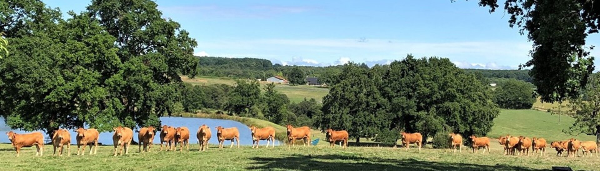 Producteurs de Pays de Beyssenac en Corrèze dans le 19