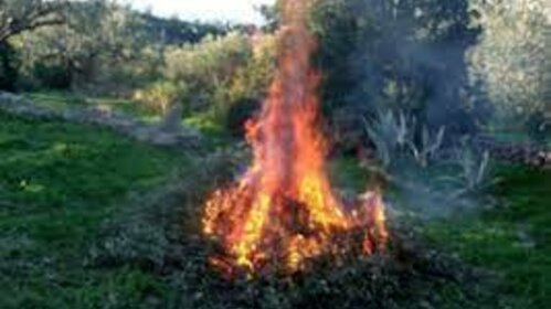 Arrêté portant réglementation de l'usage du feu