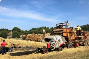 Concours de labours de tracteurs anciens, vieilles mécaniques et batteuse