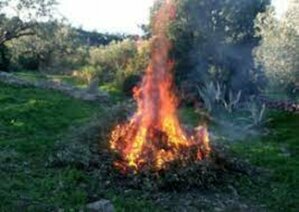 Arrêté portant réglementation de l'usage du feu